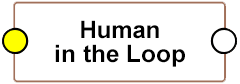 Human in the Loop